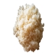 Picture of Steamed Rice 